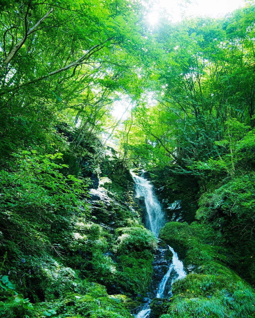 緑の滝　明神谷