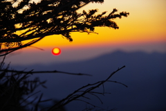 控えめな夜明け