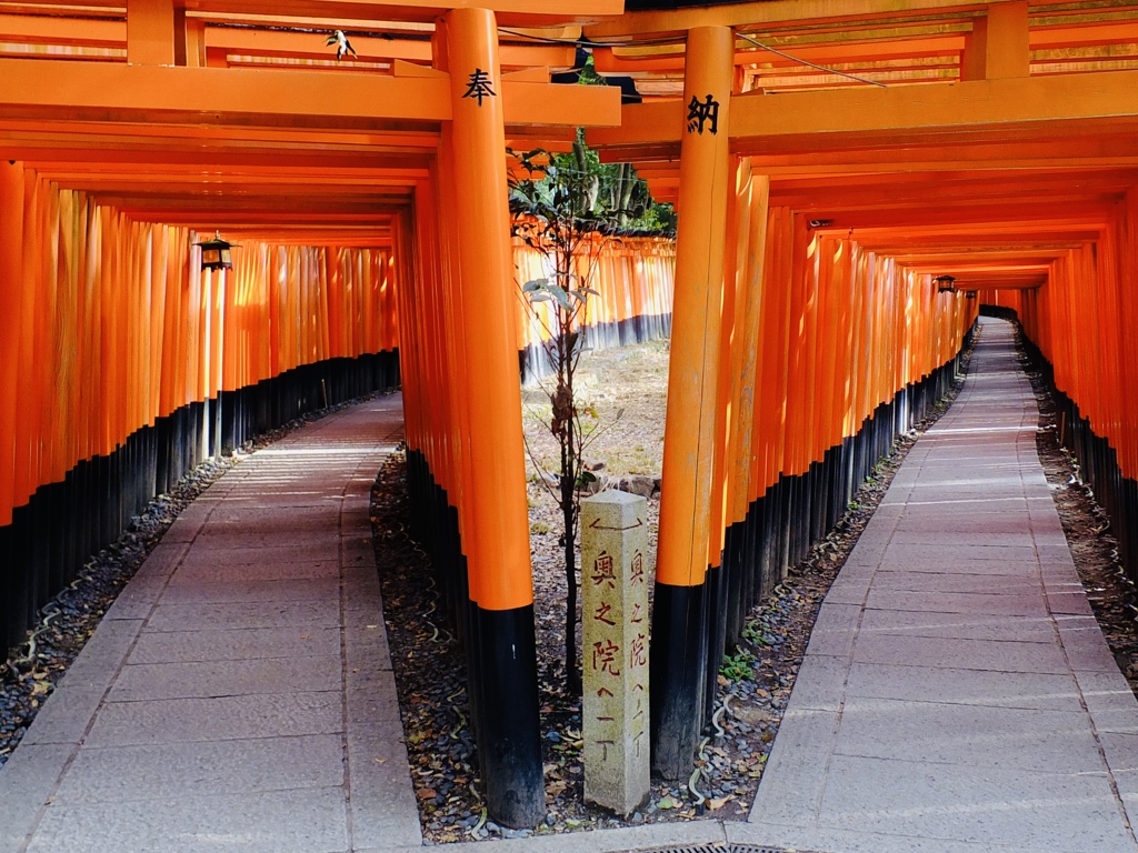 千本鳥居