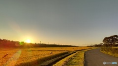 夕陽