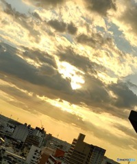 ベランダから見える景色