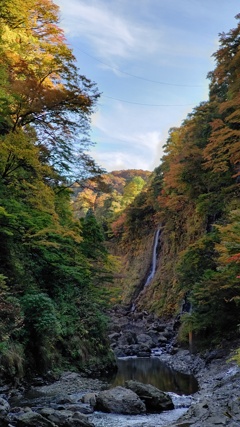 秋の気配