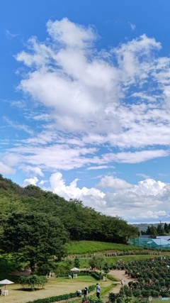 青空