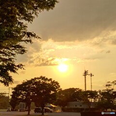 日常の風景