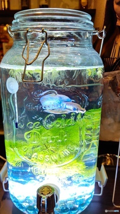 ボトルのお魚