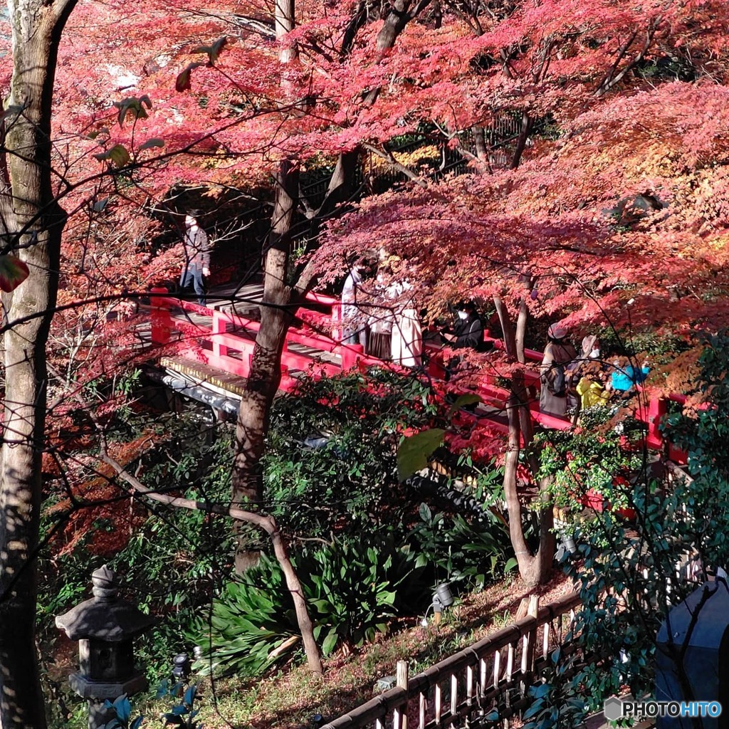 椿山荘