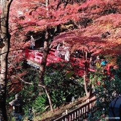 椿山荘