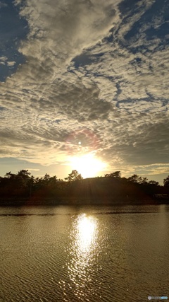 夕陽