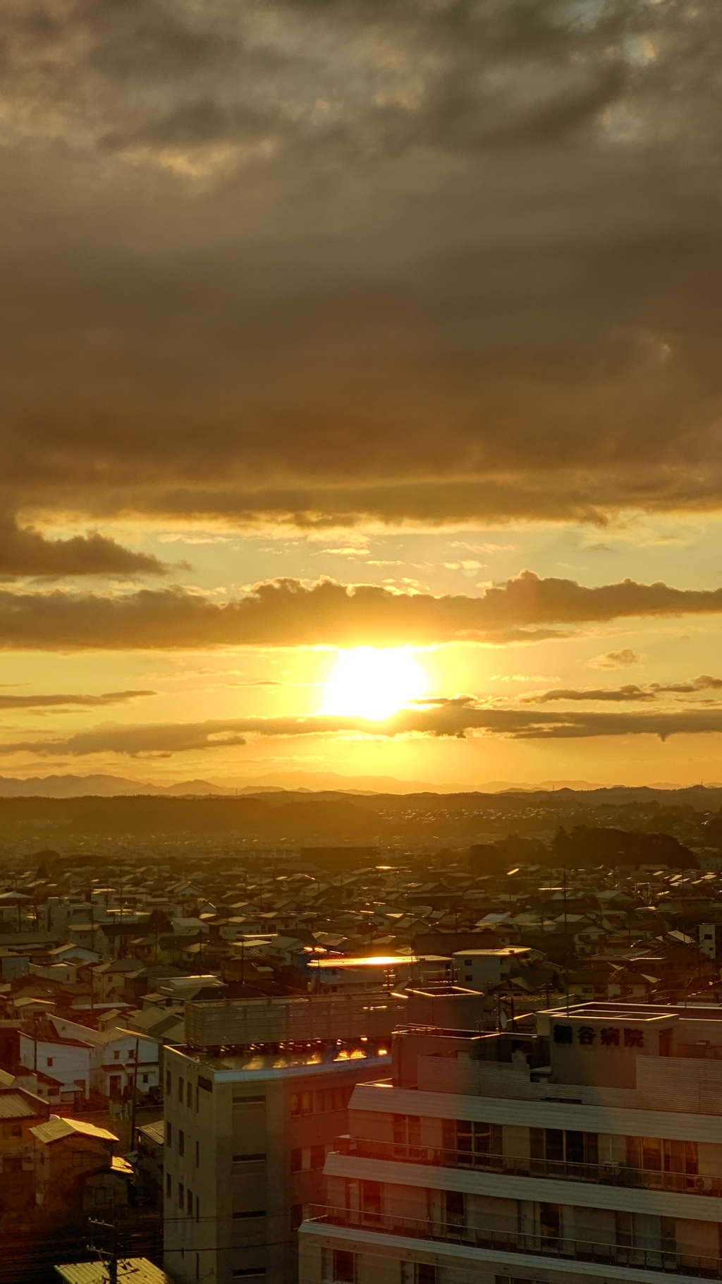 朝陽