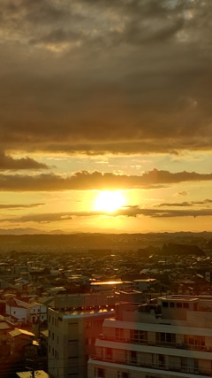 朝陽