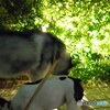 仲良しだった２人
