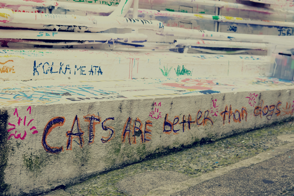 CATS ARE …