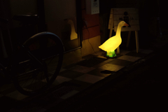 light