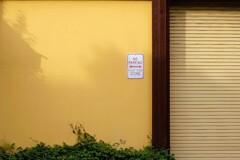wall
