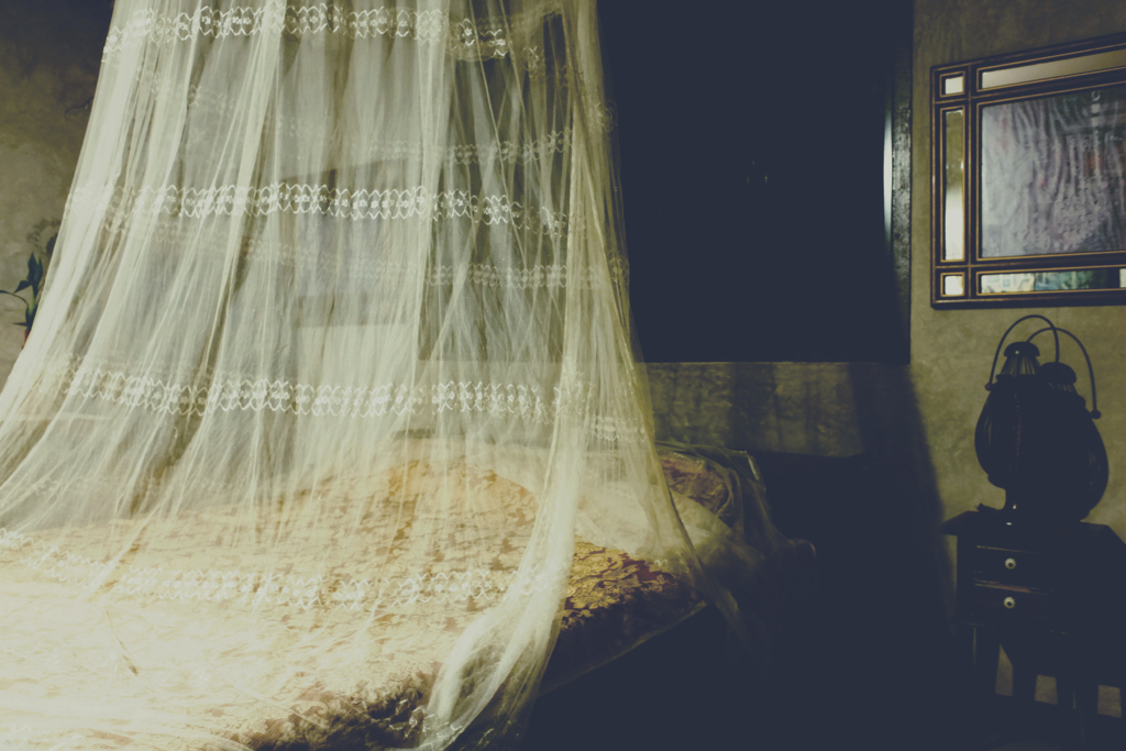 mosquito net