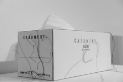 日常アップデート