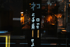 ネコと和解せよ