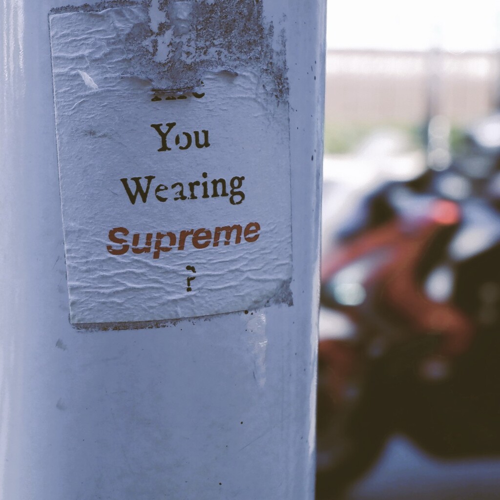 You Wearing Supreme ?