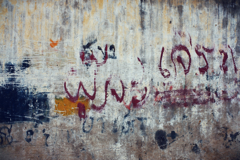 wall