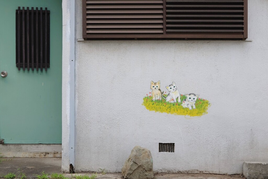 wall