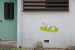 wall