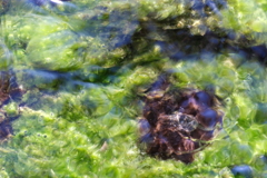undulation