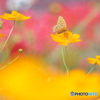 D5F1C733-12C8-4469-8D7B-29A468094AC7