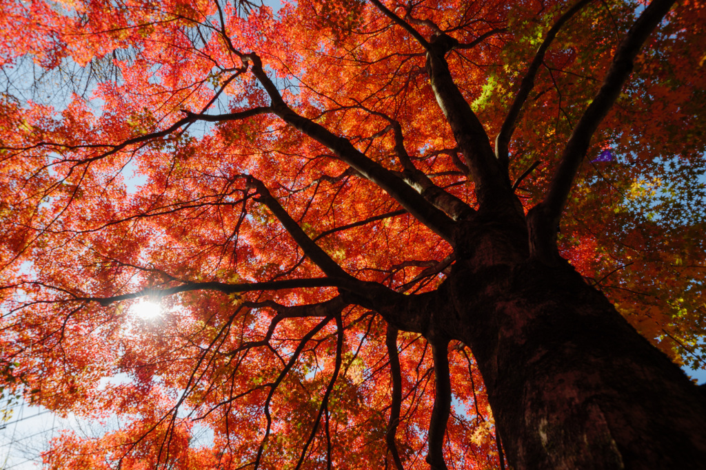 E101A802-8347-4442-817E-8B3923D041DF