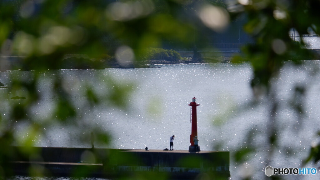 大漁日和