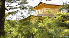金閣寺