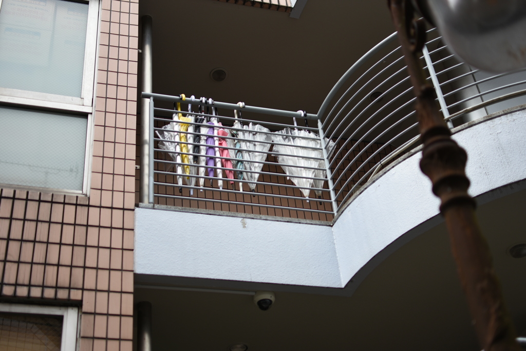 DSC_0428裏道散歩