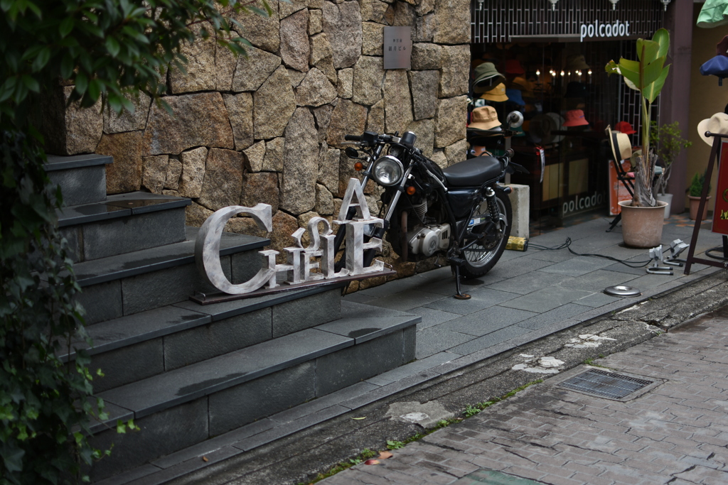 DSC_0522裏道散歩