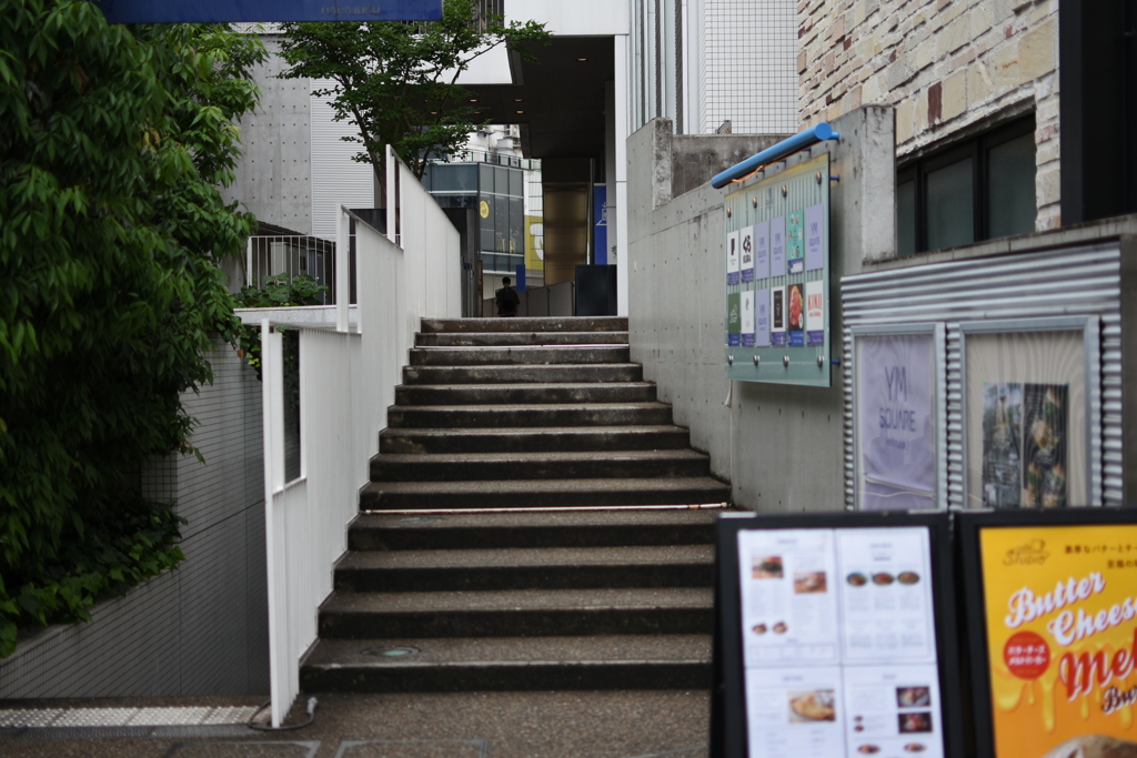 DSC_0491裏道散歩
