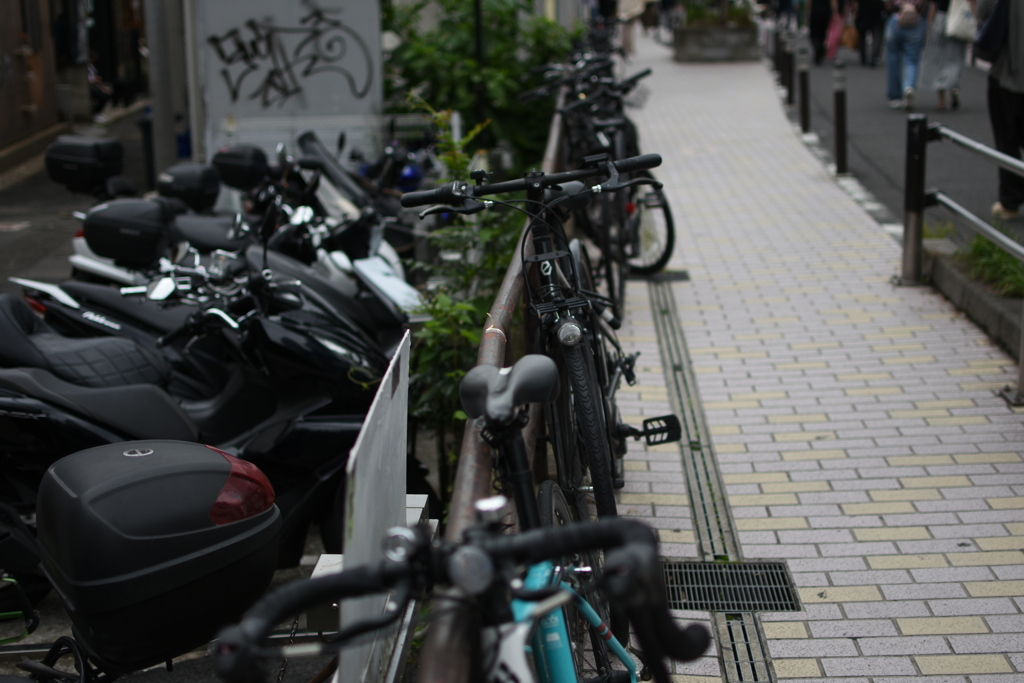 DSC_0545キャットストリート