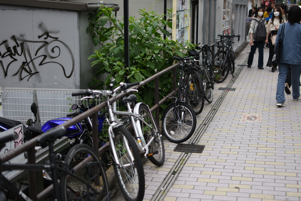 DSC_0543キャットストリート