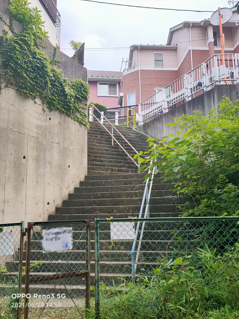 過去の道