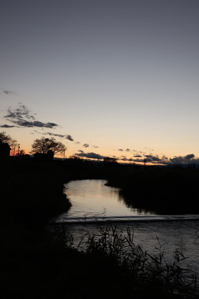 夕焼けと逆光
