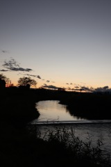 夕焼けと逆光