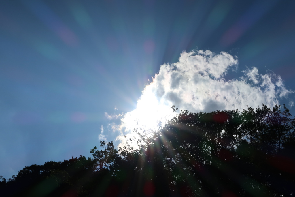 雲隠れ