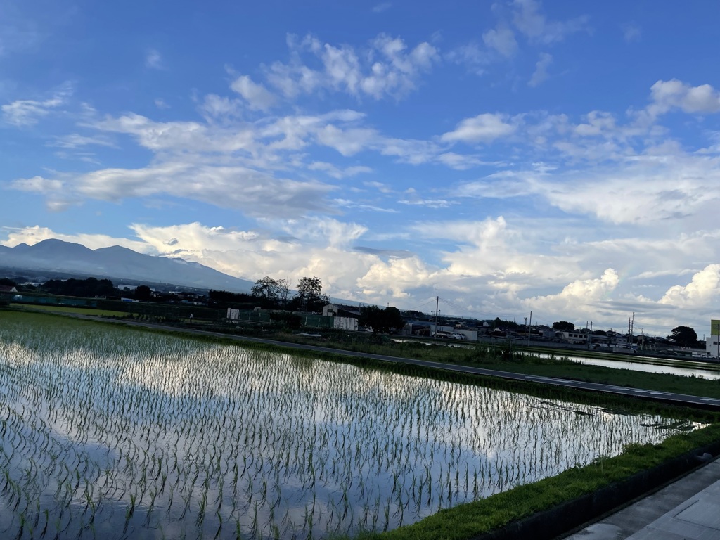 雨上がり