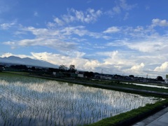 雨上がり