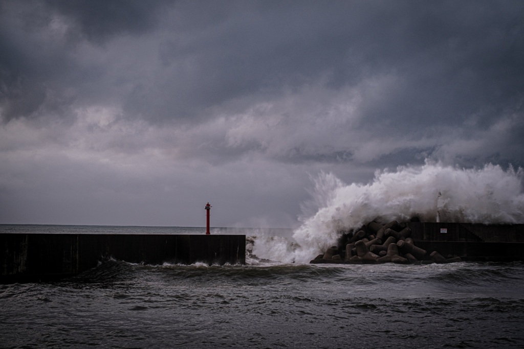 台風後の一枚。