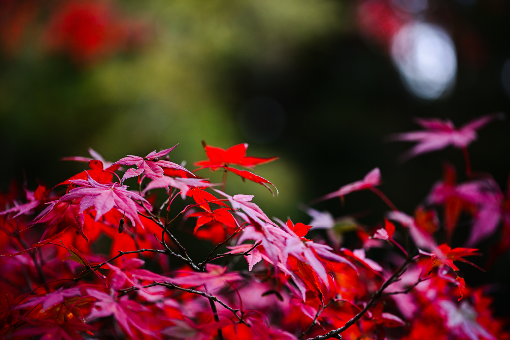 泉自然公園