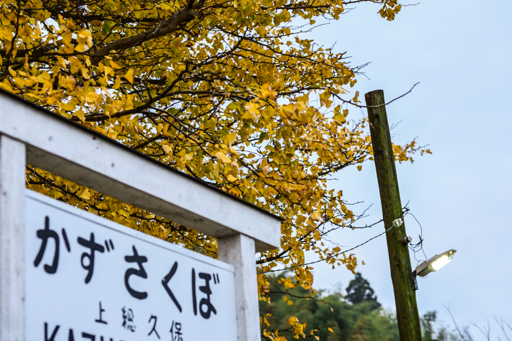 秋の小湊鉄道②