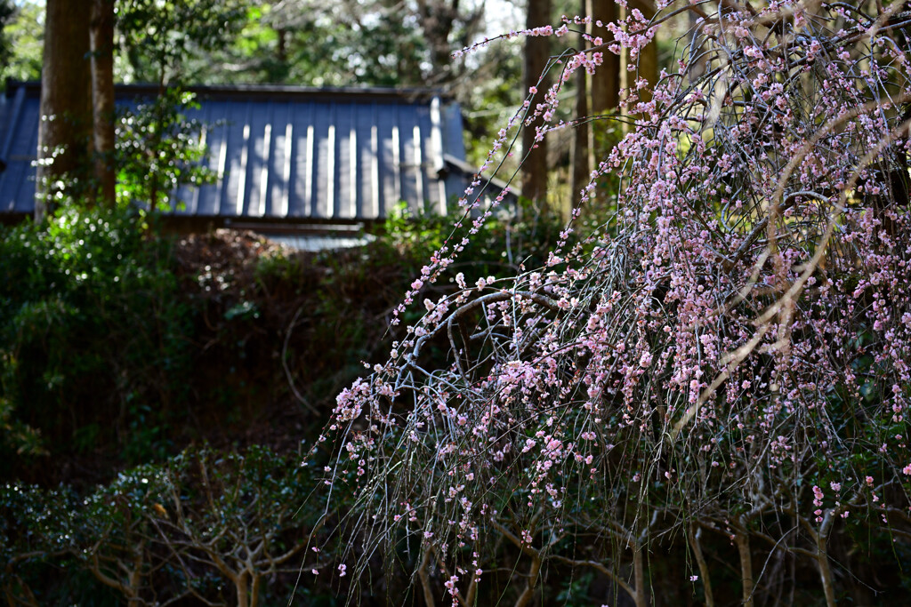 大平神社②