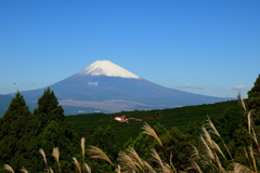 秋晴れの富士山