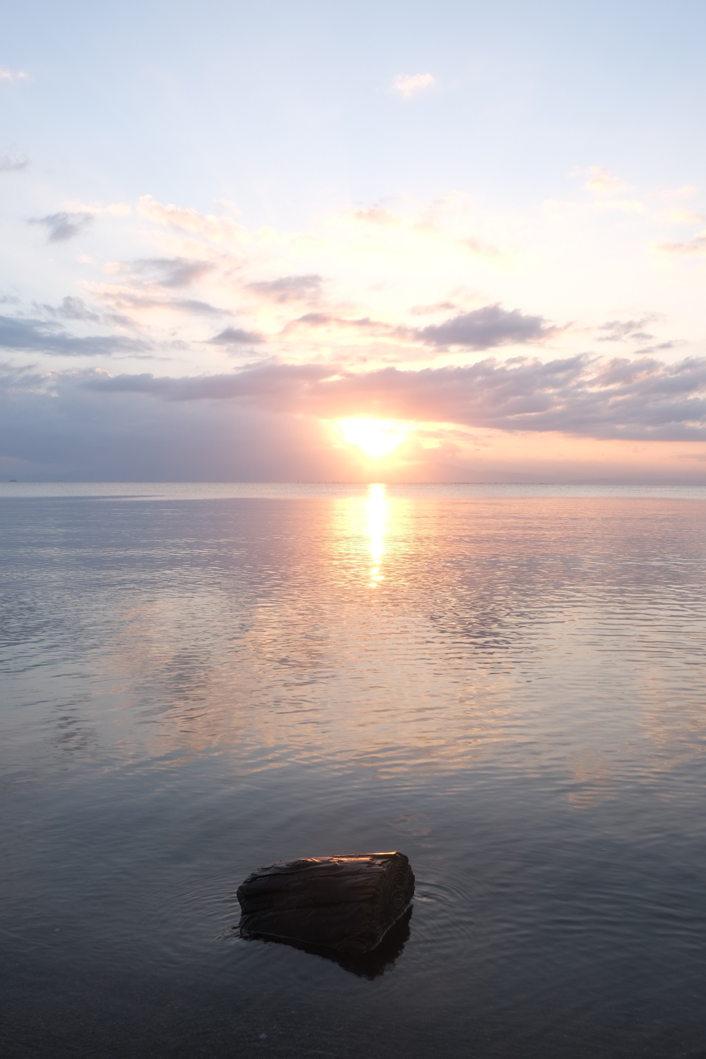 流木と夕日