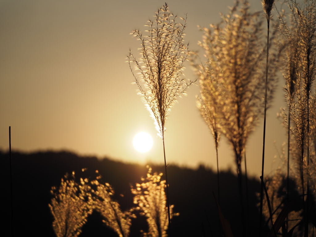 夕暮れ時