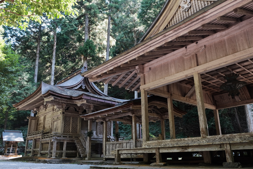 木造の地主神社