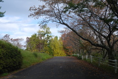 秋の小路